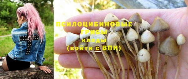 прущая мука Абдулино