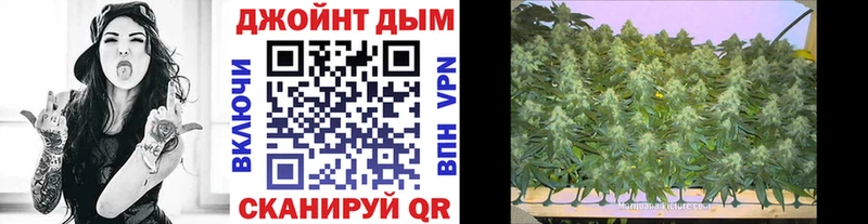 Шишки марихуана план ссылка на мегу онион сайты даркнета формула Серафимович